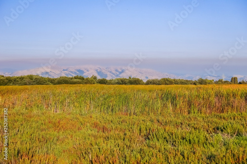 Marsh in Coyote Hills Regional Park  on the background smoke from Soberanes fire is visible  San Francisco bay area  California