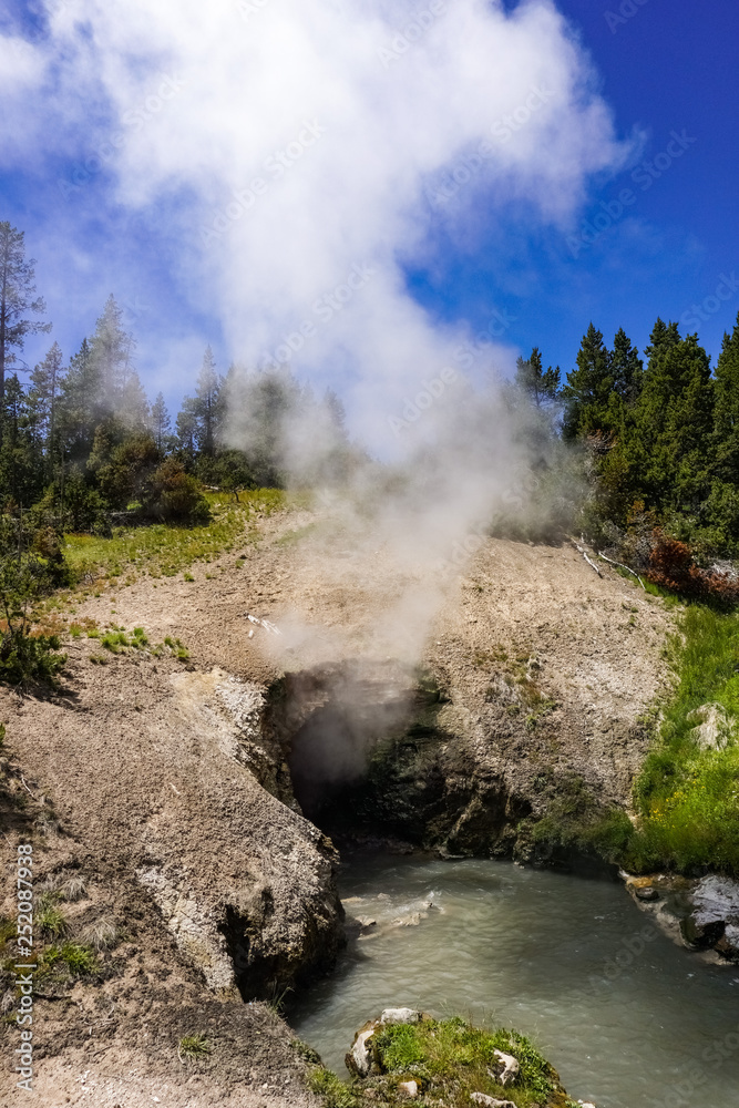 Dragons Mouth Spring, Mud Volcano, Yellowstone National Park Dragons Mouth Spring, Mud Volcano, Yellowstone National Park