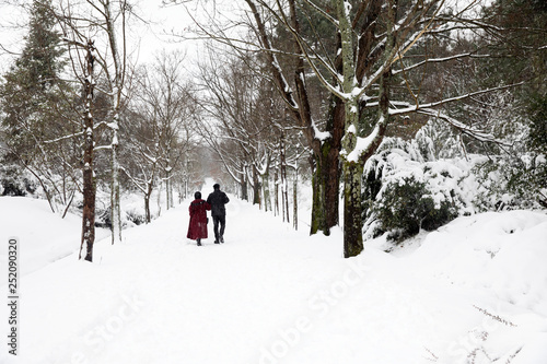 Atatürk Arboretumu Bahcekoy snowy photos Sariyer istanbul