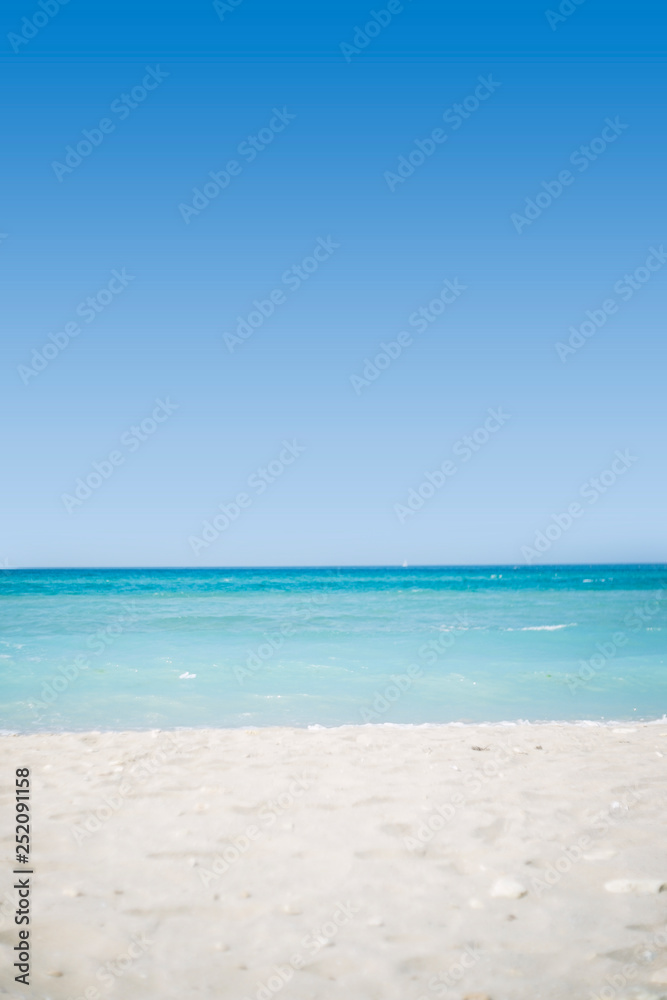 beach view. water. sea. ocean.