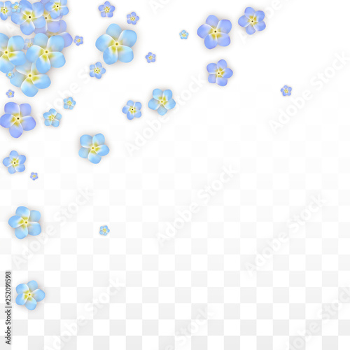 Vector Realistic Blue Flowers Falling on Transparent Background.  Spring Romantic Flowers Illustration. Flying Petals. Sakura Spa Design. Blossom Confetti. Design Elements for Wedding Decoration. © Feliche _Vero