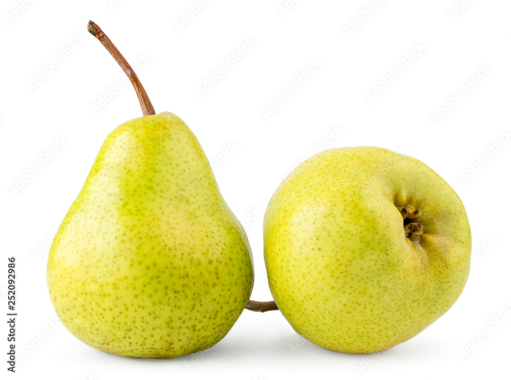 Two green pears on a white background, isolated.