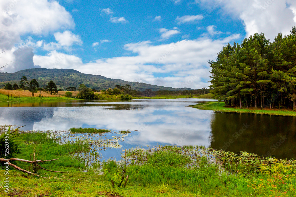 Perimbo dam lake, with many trees and lawn in the surroundings, Petrolandia, Santa Catarina, Brazil