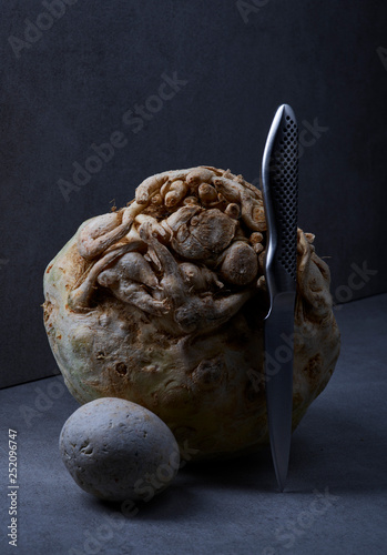 Celery root with knife and stone photo