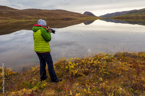 Photographer focuses camera on arctic wildflowers photo