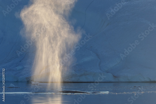 Whale spouts by glacier in Greenland photo