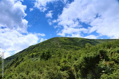 Carpathian mountains
