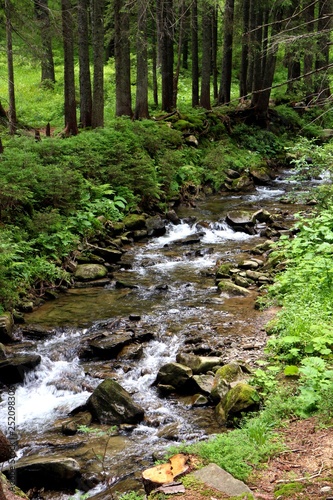 mountain streams