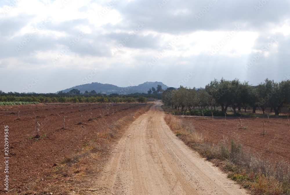 Obraz premium Farmers Country Road, Valencia, Spain