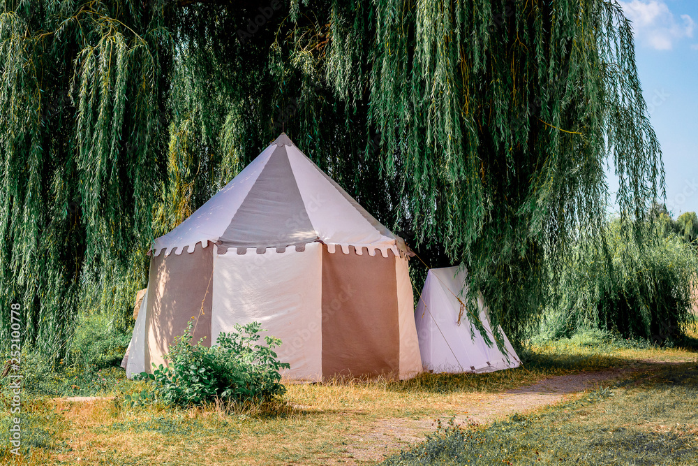 Tourist tent under a wide tree. Outdoor recreation_