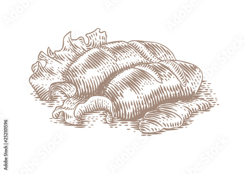 Two roasted small sausages with lettuce and mustard