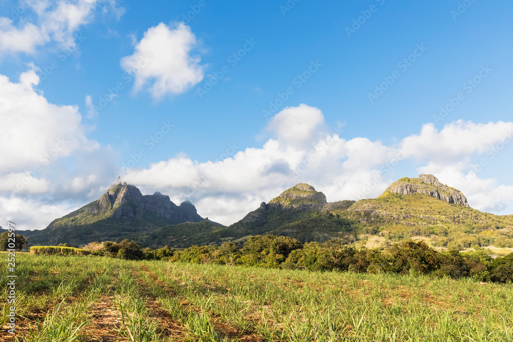 Mauritius, Highlands, sugarcane fields, Mountain Pieter Both left Mauritius, Highlands, sugarcane fields, Mountain Pieter Both left