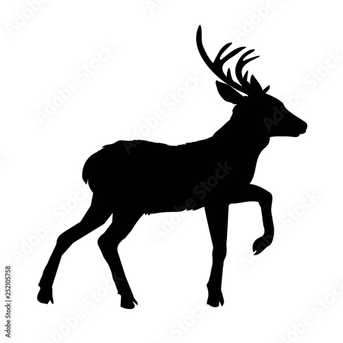 deer silhouette, vector, illustration