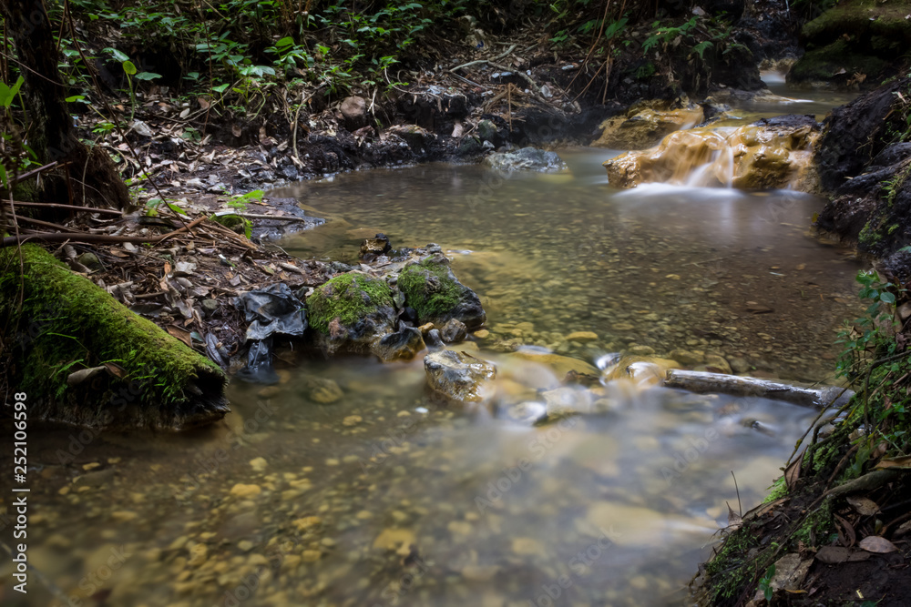 Obraz premium Lovely milky hot springs stream in the middle of the wood of Gede Pangrango Mountain