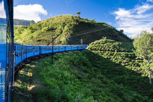 Blue train driving through tea fields