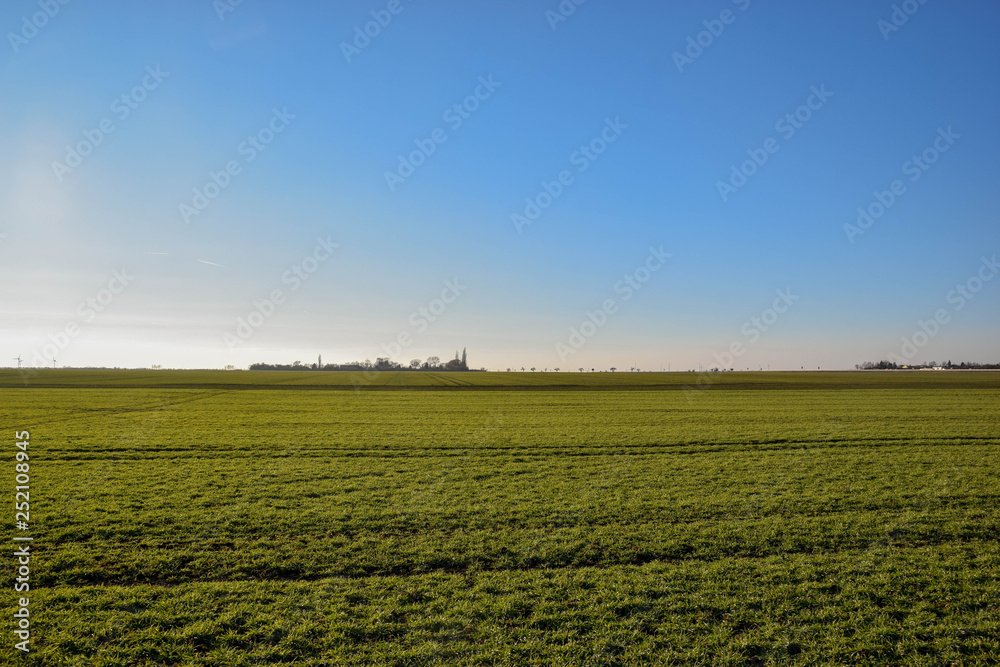Feld, Getreide, Weide, Grün, Gras, Felder, Himmel, Landschaft