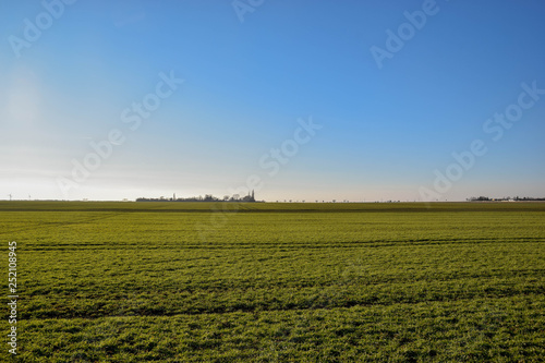 Feld  Getreide  Weide  Gr  n  Gras  Felder  Himmel  Landschaft