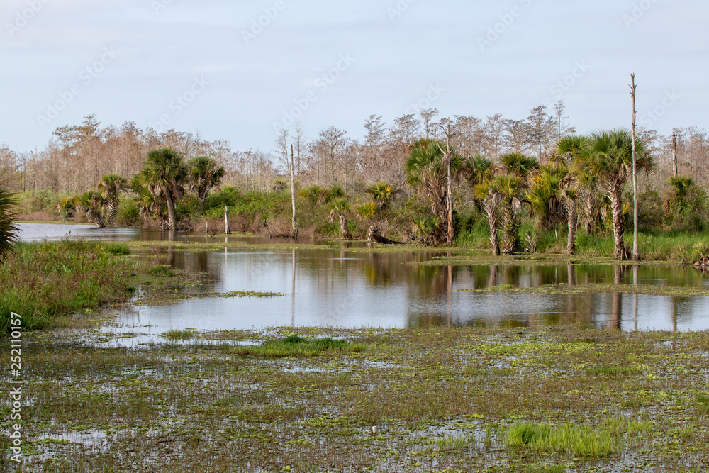 Fototapeta premium scenic view of Florida waterway