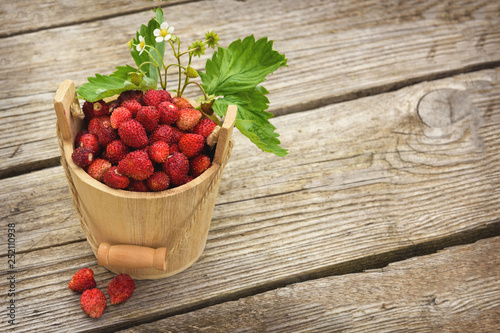 Red strawberries from the garden bed. Fresh, juicy red strawberries in a wooden small bucket, stands on a wooden natural table.