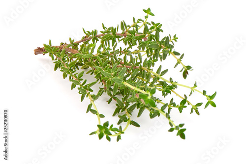 Rosemary herb, close-up isolated on white background