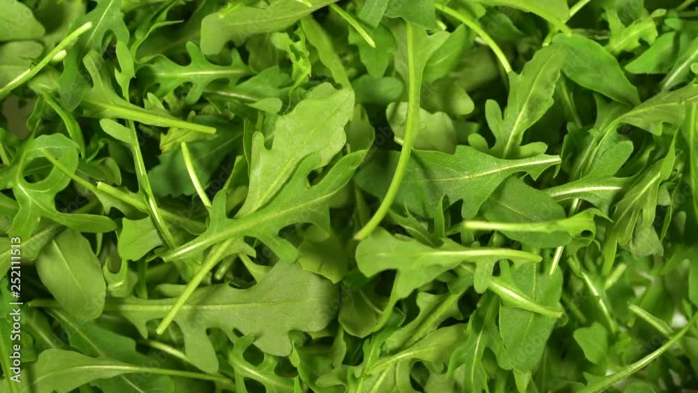 Closeup top view of white plate full of fresh green arugula salad leaves rotating isolated on white background. Rucola ready for eating. Real time full hd video footage. Closeup top view of white plate full of fresh green arugula salad leaves rotating isolated on white background. Rucola ready for eating. Real time full hd video footage.
