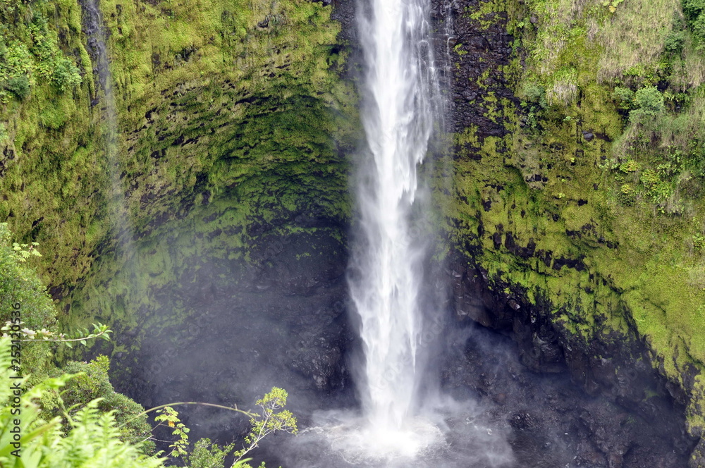 Akaka Falls, Hawaii, USA