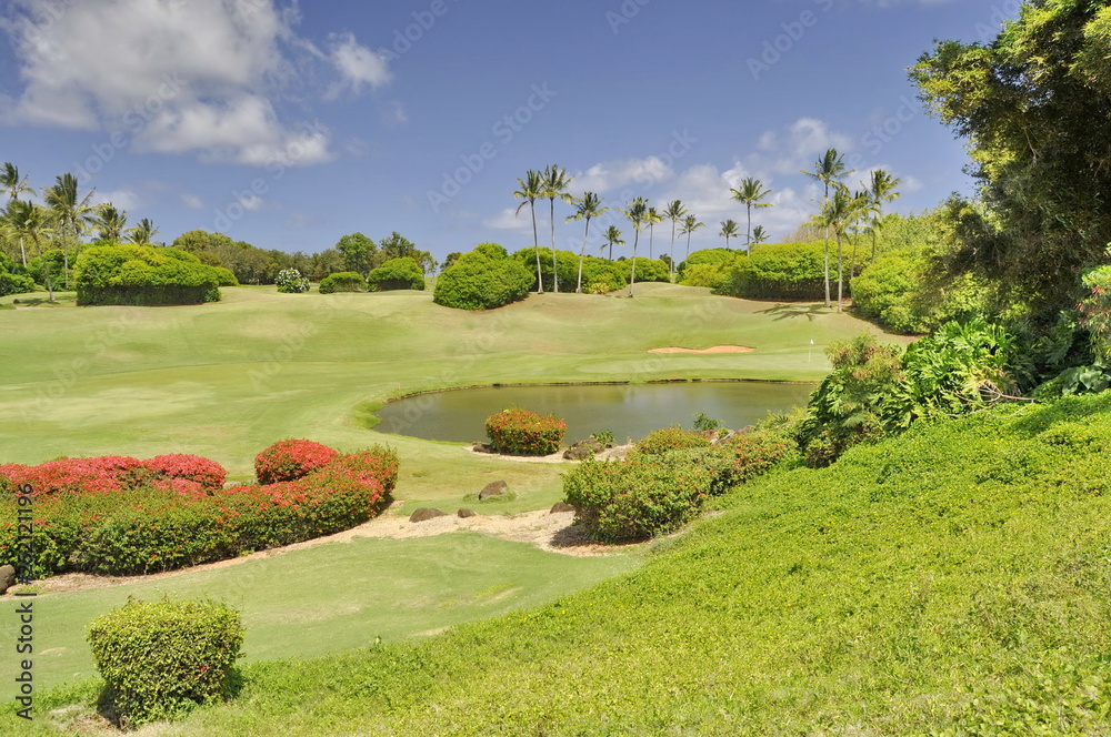 Fototapeta premium Golf Course in Kauai, Hawaii, USA