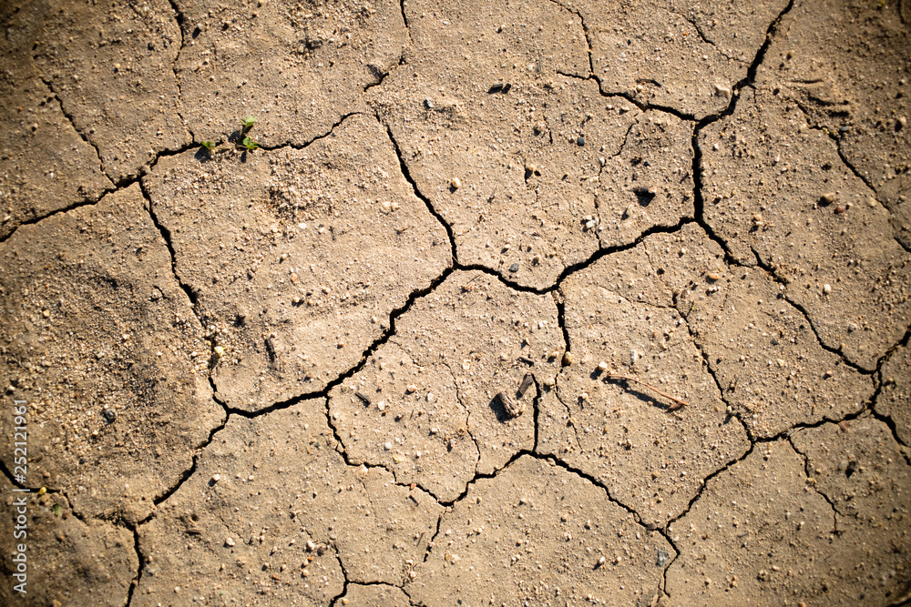 Fototapeta premium Dry Cracked Earth Detail 04
