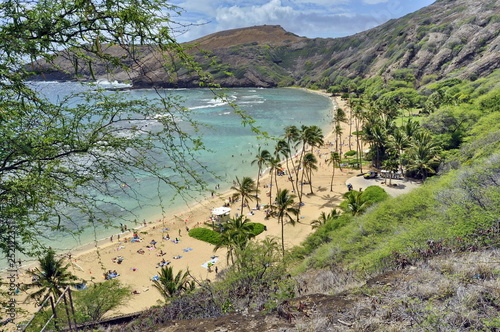 Beach on Oahu Island  Hawaii  USA