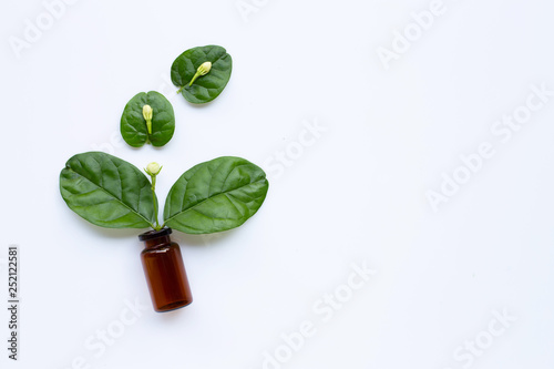 Bottle of essential oil with jasmine flower and leaves on white.