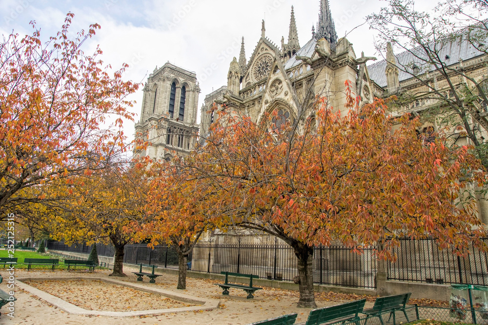 Obraz premium SONY DSC