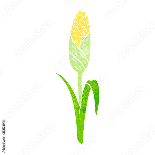 retro cartoon doodle of fresh corn on the cob