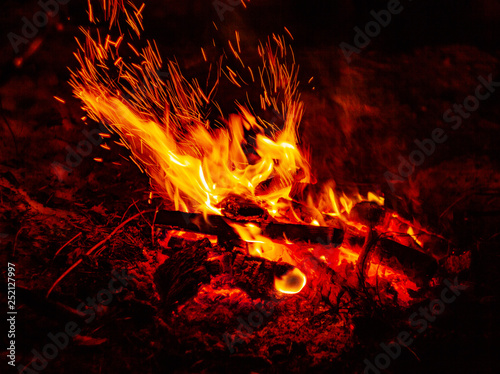  bonfire in the forest