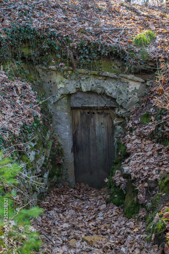 Old beer cave in Germany with wooden door