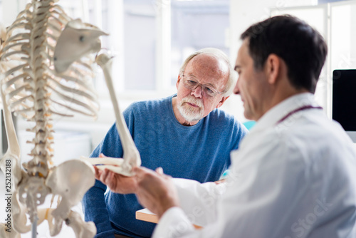 Doctor explaining bones at anatomical model to patient in medical practice photo