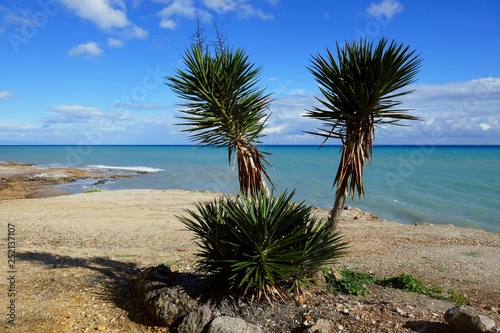 Landschaft von Andalusien  Spanien