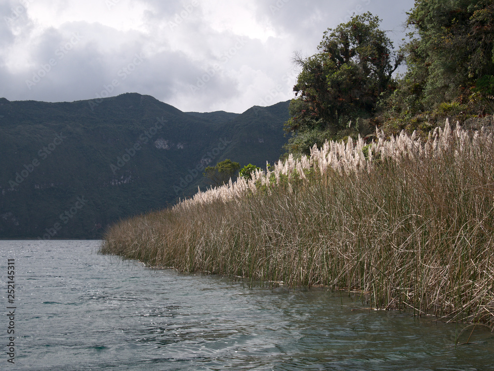 Fototapeta premium Caldera and crater lake at the foot of Cotacachi Volcano, Cuicocha, Ecuador, created by a massive eruption about 3100 years ago.