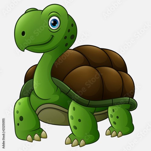 Funny turtle cartoon