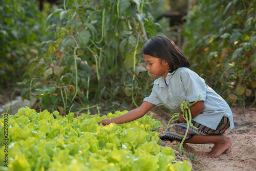 Poverty, a portrait of a poor Asian girl, collecting organic vegetables