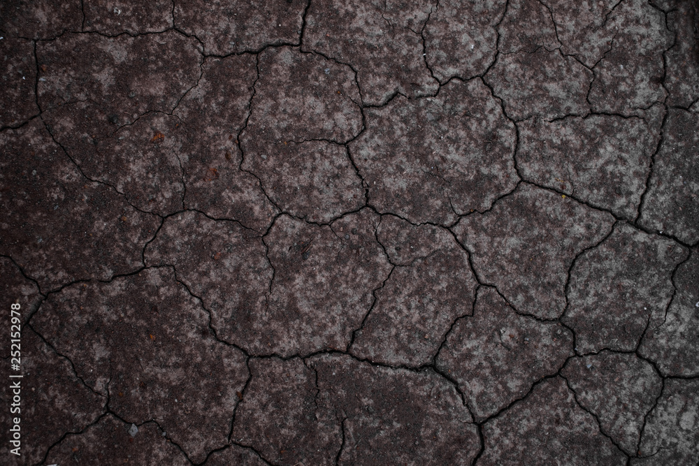 Fototapeta Dry land or dry soil. Cracked ground background.