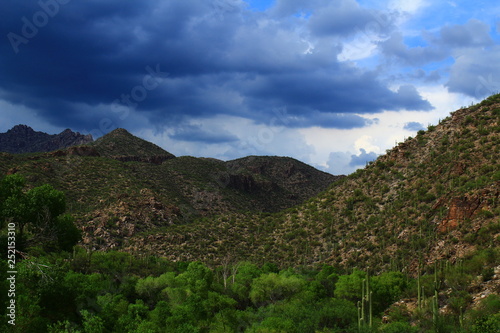 Monsoon clouds over the riparian area of Sabino Canyon in the Coronado National Forest. 