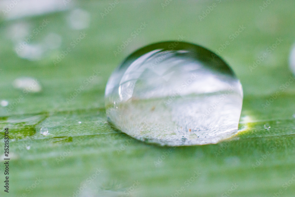 Water drops on the green grass after the rain, macro image Water drops on the green grass after the rain, macro image