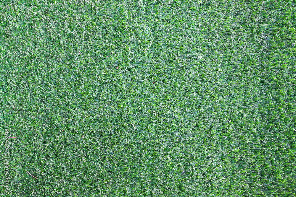 Fototapeta premium green grass field. background and texture.