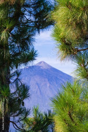 Incredible view of the Teide volcano from the viewpoint Mirador de Chipeque, which is located on the road number 24. Tenerife. Canary Islands..Spain photo