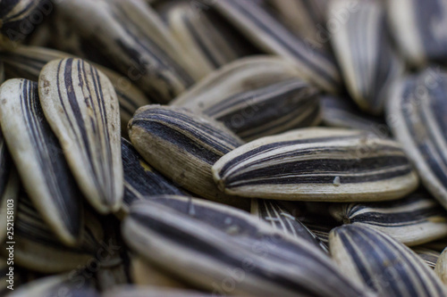 Wallpaper Mural Close up image of sunflower seeds Torontodigital.ca