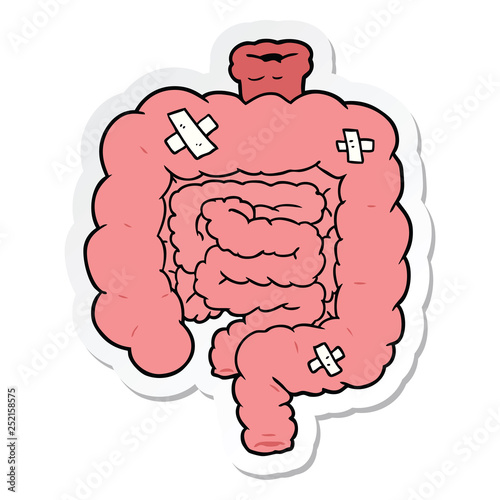 sticker of a cartoon repaired intestines