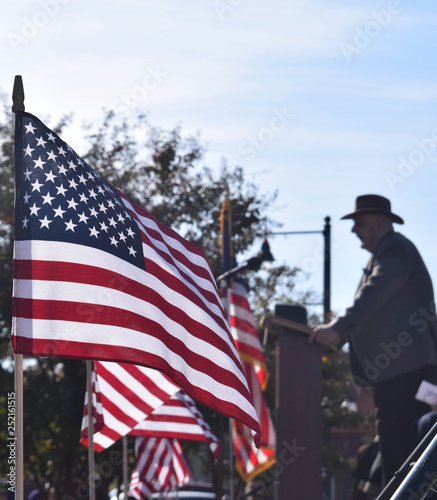 Flags wave during Veterans Day Parade