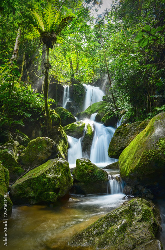 waterfall in the forest