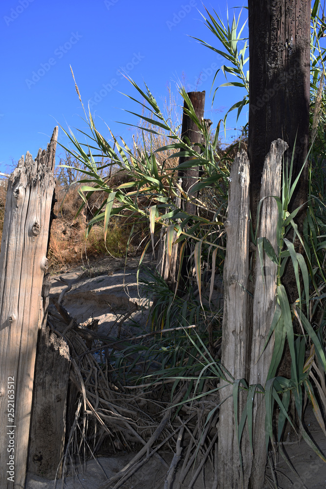Old wooden piles of old ruined pier out of the water. Old wooden piles of old ruined pier out of the water.