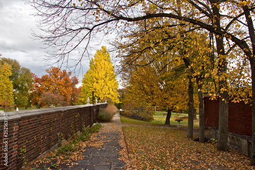 fall foliage in park